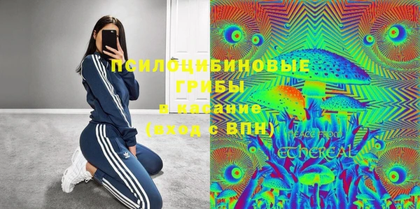 ПСИЛОЦИБИНОВЫЕ ГРИБЫ Балахна